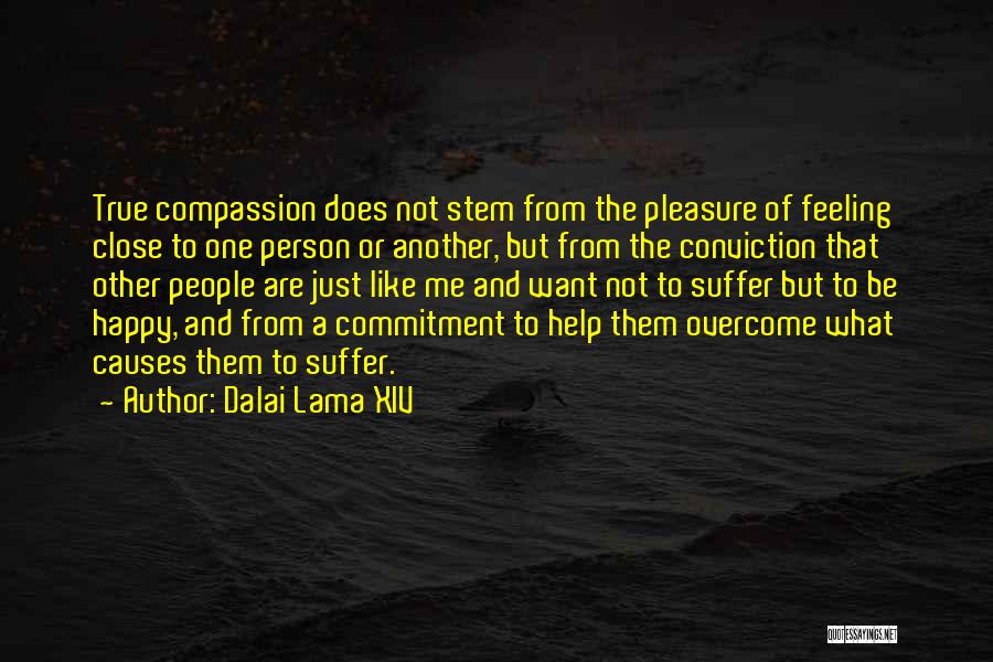 Feeling Close To Someone Quotes By Dalai Lama XIV