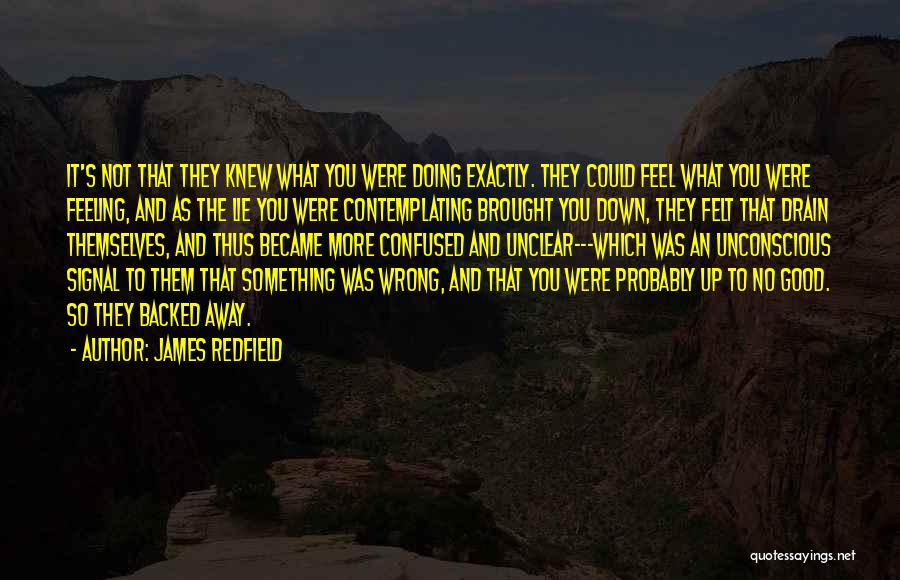 Feeling Confused Quotes By James Redfield