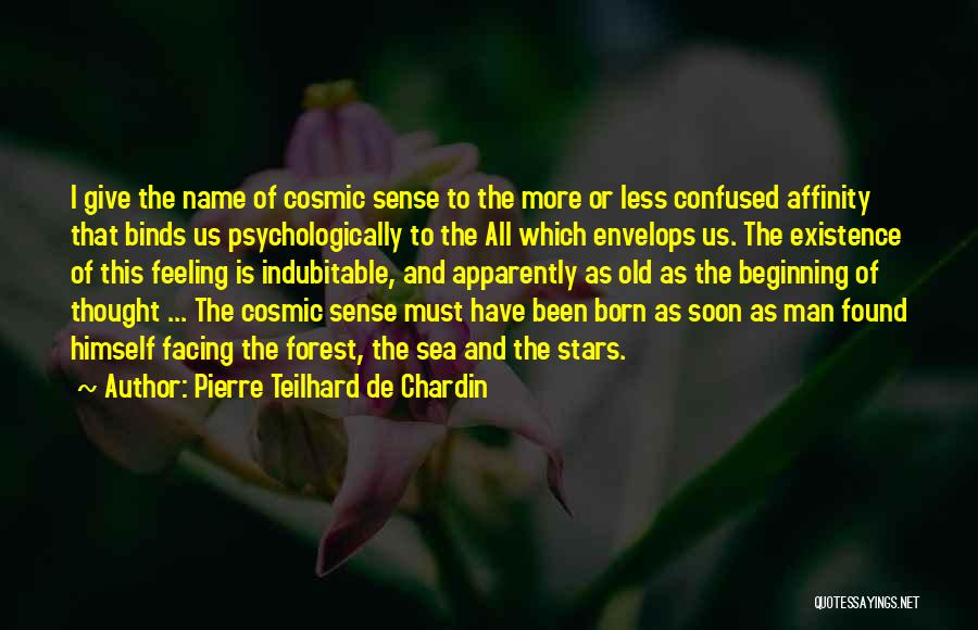 Feeling Confused Quotes By Pierre Teilhard De Chardin