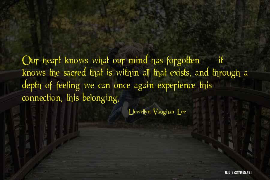 Feeling Connection Quotes By Llewellyn Vaughan-Lee Feeling Connection Quotes By Llewellyn Vaughan-Lee