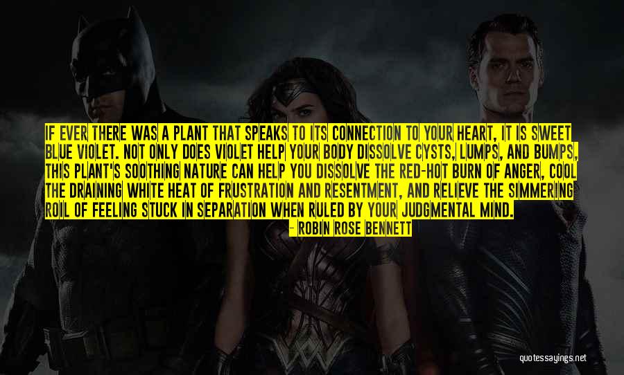 Feeling Connection Quotes By Robin Rose Bennett Feeling Connection Quotes By Robin Rose Bennett