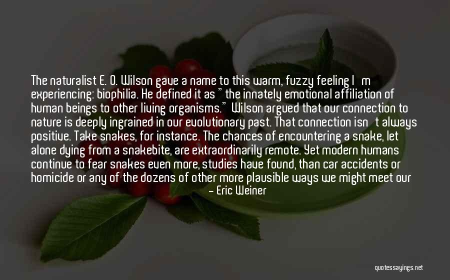 Feeling Deep Quotes By Eric Weiner Feeling Deep Quotes By Eric Weiner
