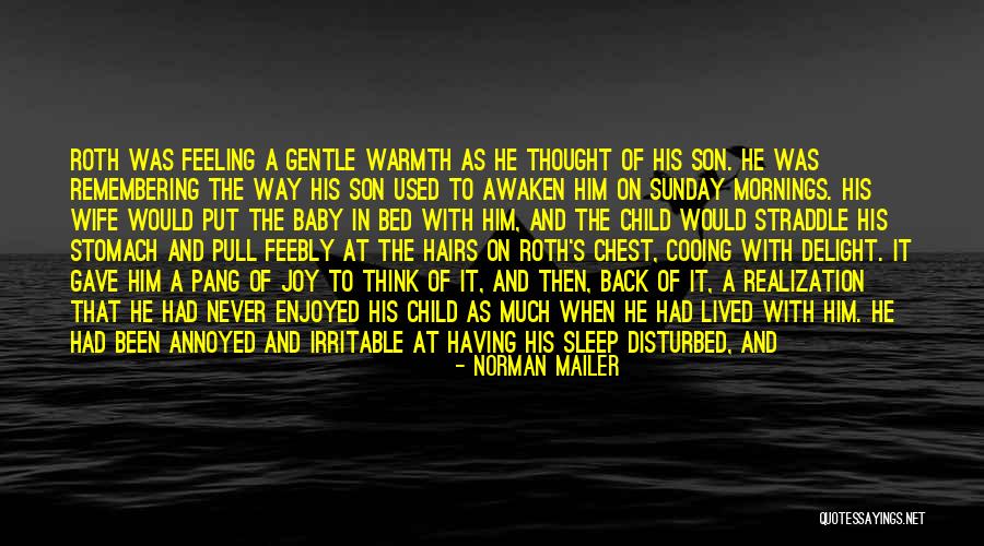 Feeling Disturbed Quotes By Norman Mailer Feeling Disturbed Quotes By Norman Mailer