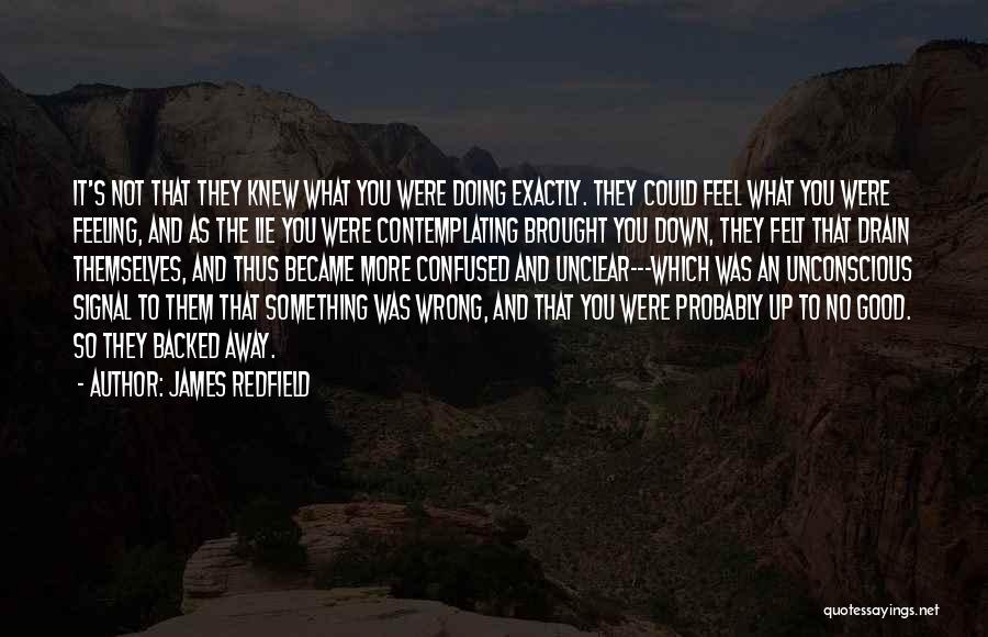 Feeling Down And Confused Quotes By James Redfield