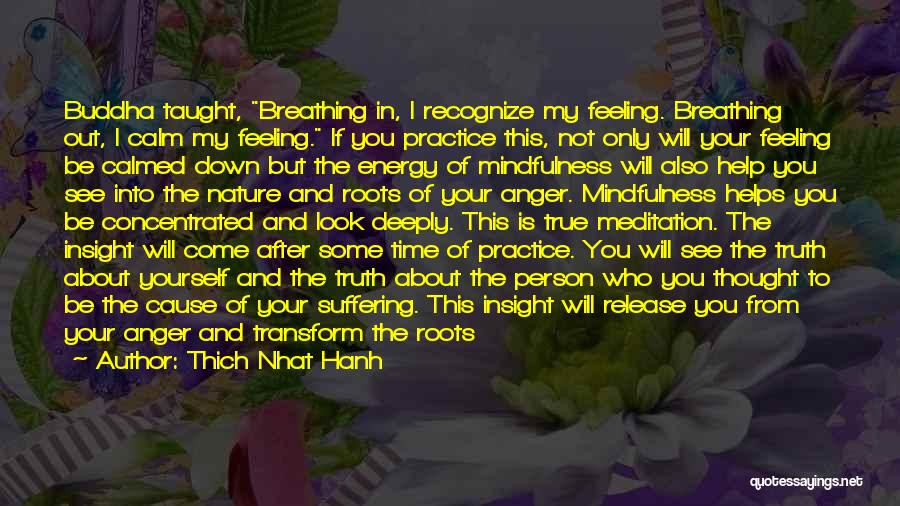 Feeling Down And Out Quotes By Thich Nhat Hanh