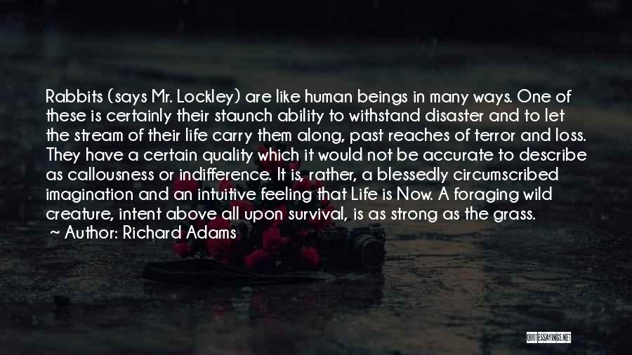 Feeling Down Life Quotes By Richard Adams