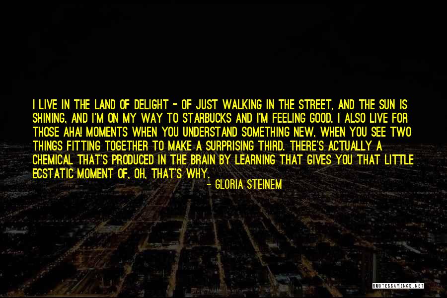 Feeling Ecstatic Quotes By Gloria Steinem Feeling Ecstatic Quotes By Gloria Steinem