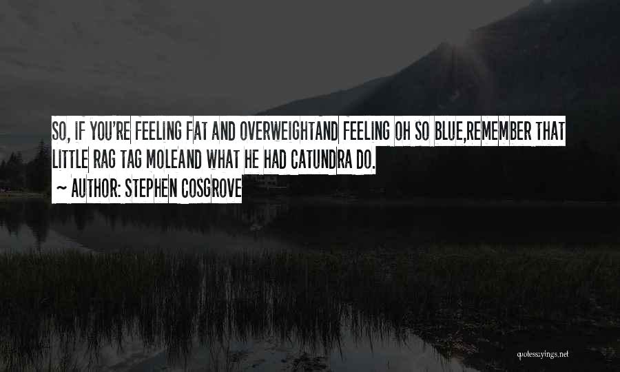 Feeling Fat Quotes By Stephen Cosgrove
