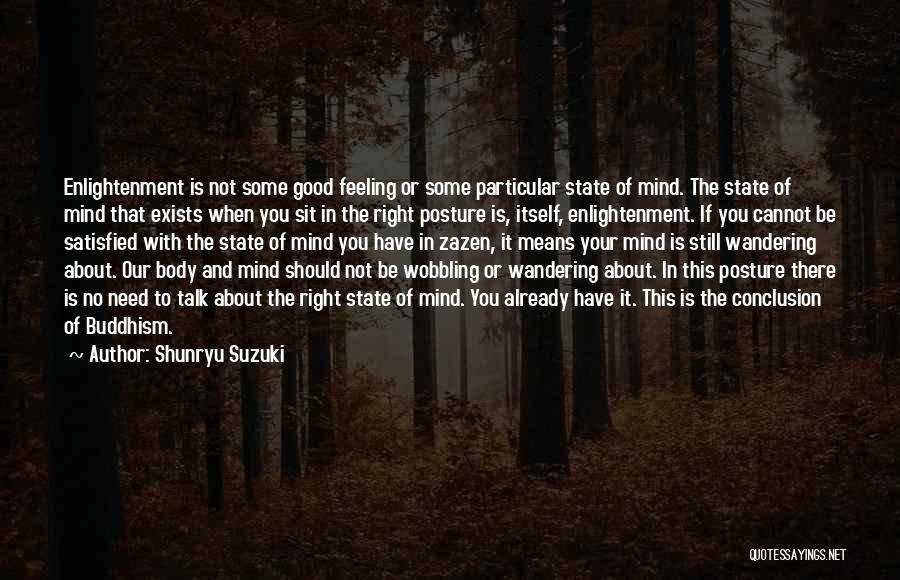 Feeling Good In Your Body Quotes By Shunryu Suzuki