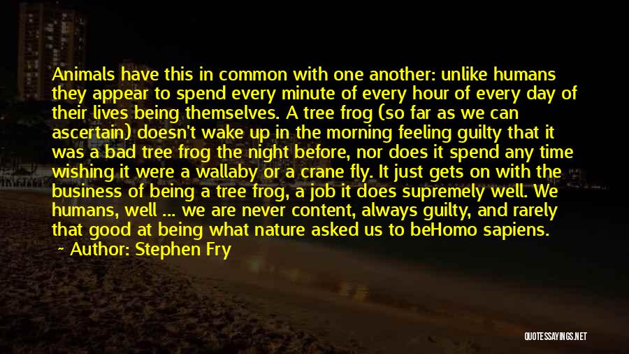 Feeling Good This Morning Quotes By Stephen Fry