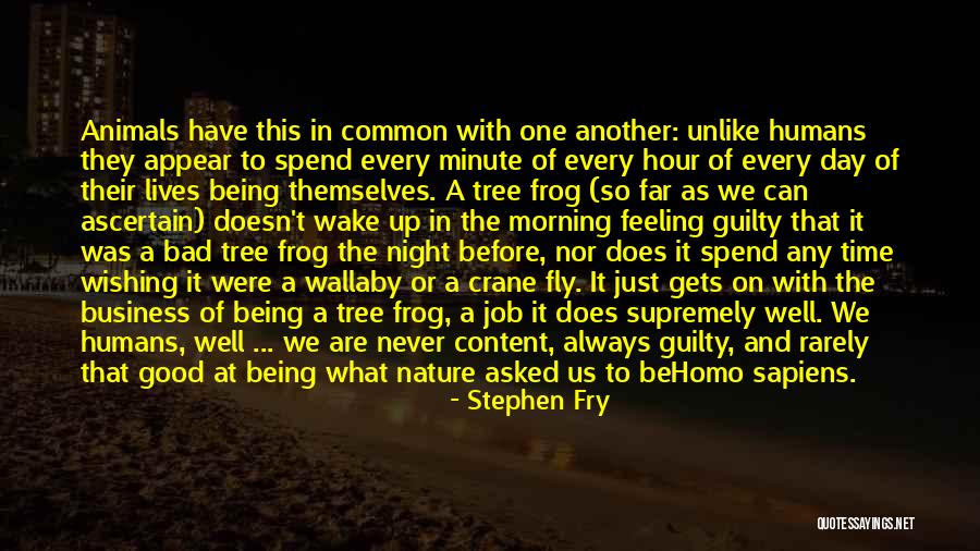 Feeling Good This Morning Quotes By Stephen Fry