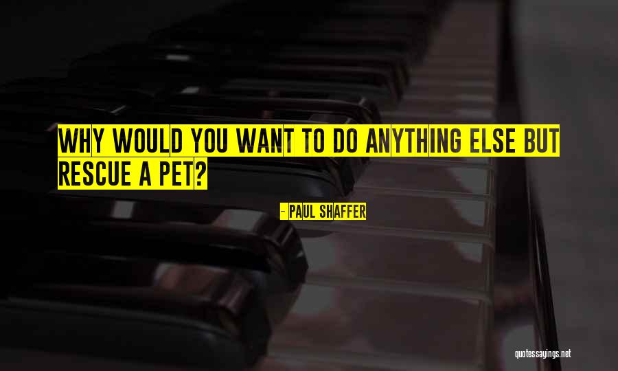 Feeling Guilty For Hurting Someone Hindi Quotes By Paul Shaffer Feeling Guilty For Hurting Someone Hindi Quotes By Paul Shaffer