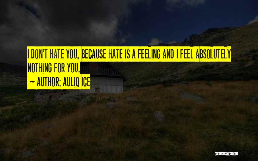 Feeling Hate Quotes By Auliq Ice