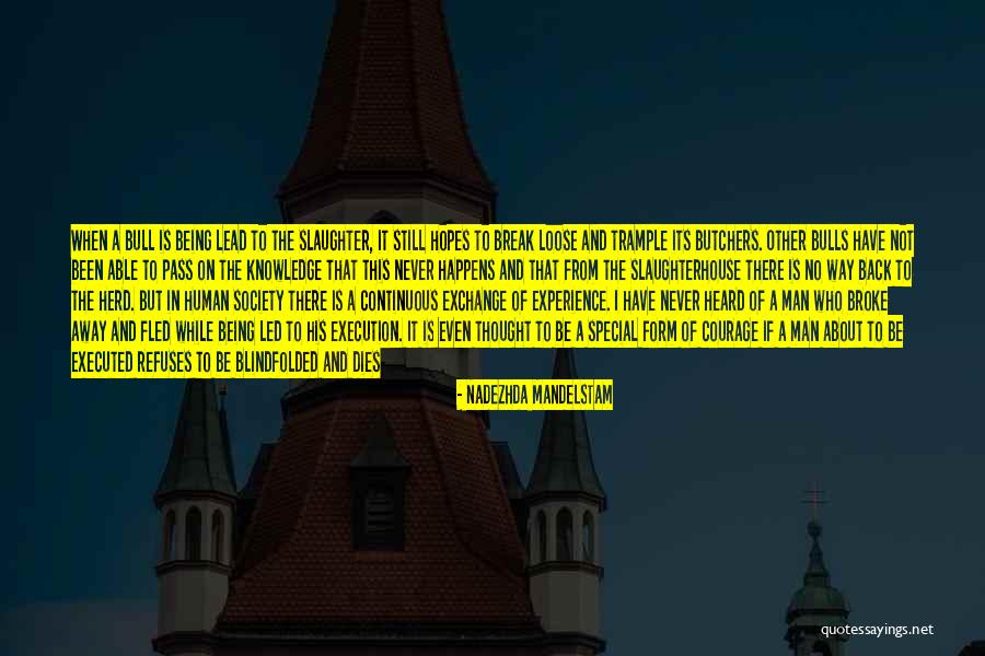 Feeling Heard Quotes By Nadezhda Mandelstam Feeling Heard Quotes By Nadezhda Mandelstam