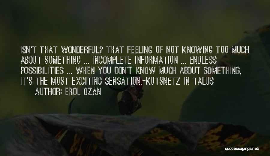 Feeling Incomplete Without You Quotes By Erol Ozan