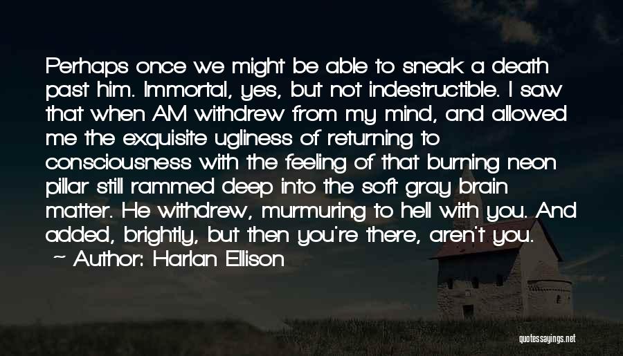 Feeling Indestructible Quotes By Harlan Ellison