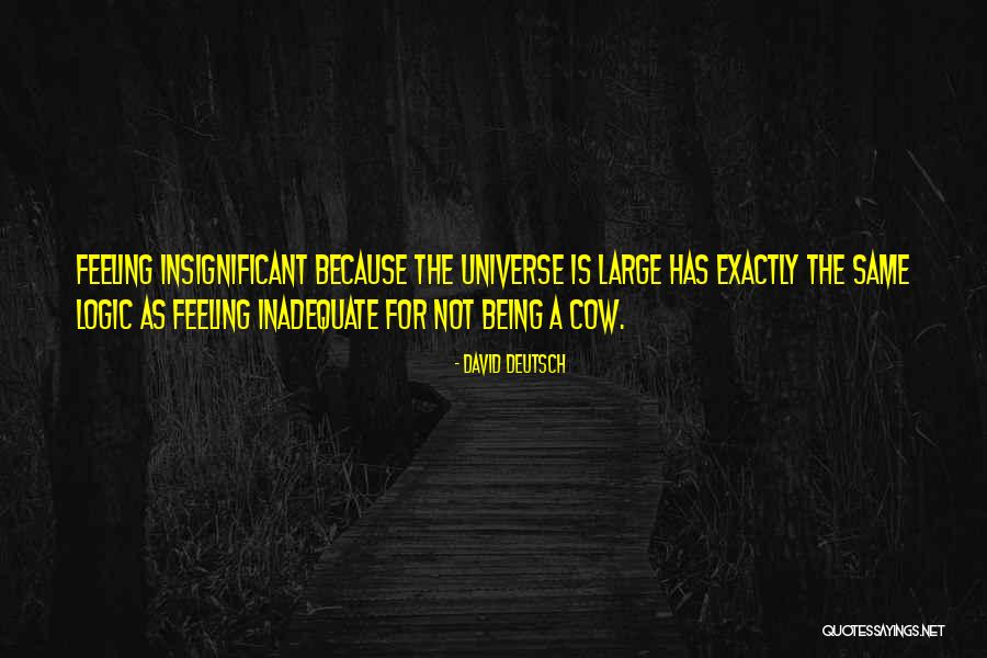 Feeling Insignificant Quotes By David Deutsch