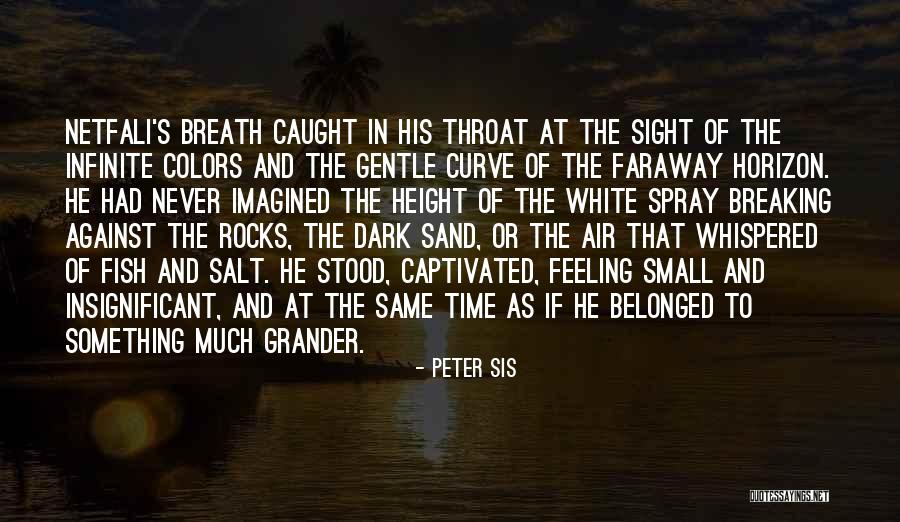 Feeling Insignificant Quotes By Peter Sis