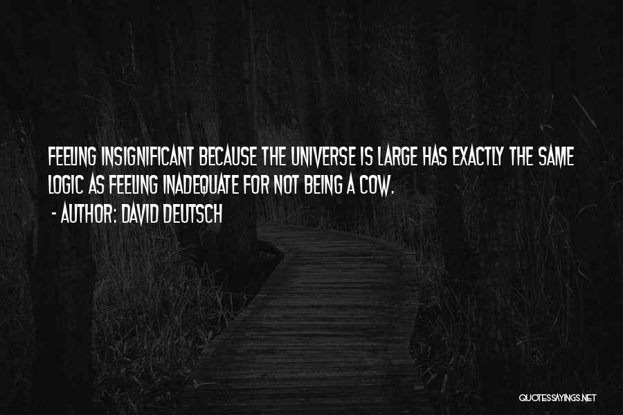 Feeling Insignificant To Someone Quotes By David Deutsch