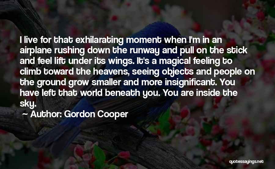 Feeling Insignificant To Someone Quotes By Gordon Cooper