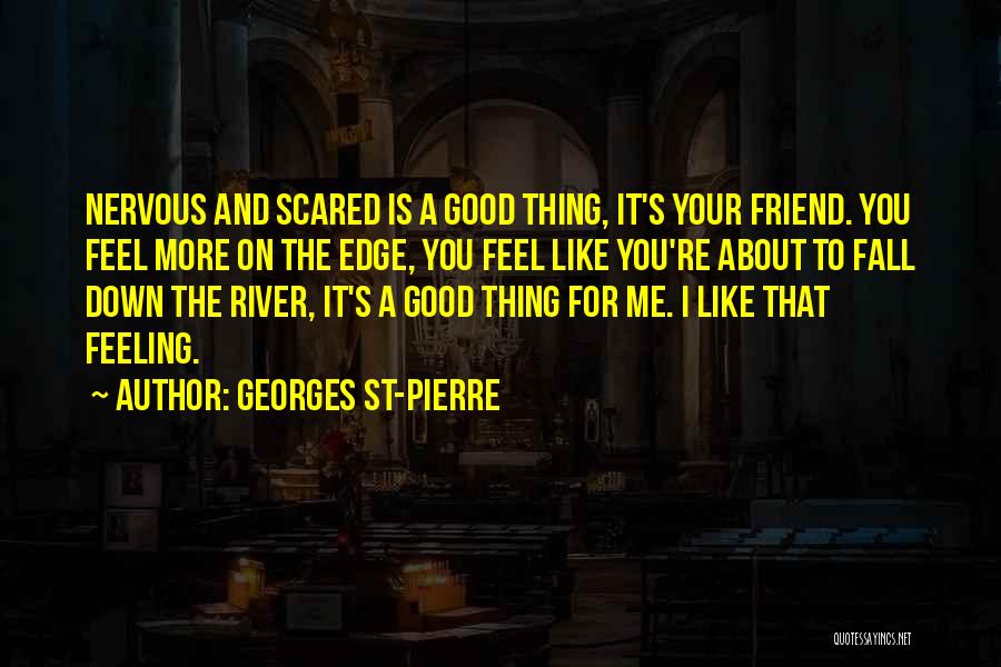 Feeling Let Down By A Friend Quotes By Georges St-Pierre