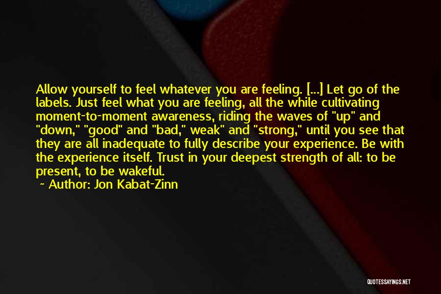 Feeling Let Down Quotes By Jon Kabat-Zinn