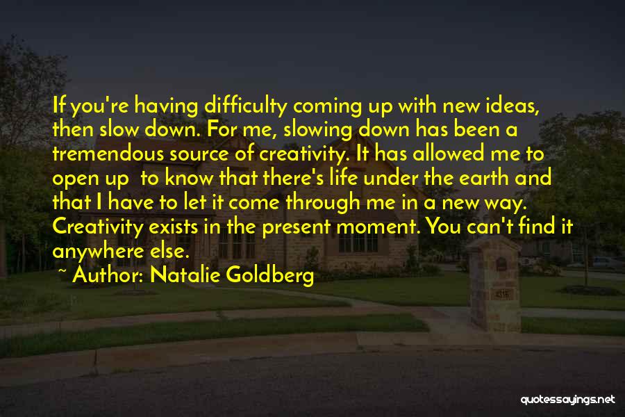 Feeling Let Down Quotes By Natalie Goldberg