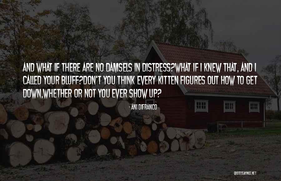 Feeling Lighter Quotes By Ani DiFranco Feeling Lighter Quotes By Ani DiFranco