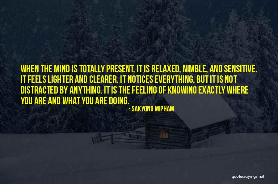 Feeling Lighter Quotes By Sakyong Mipham Feeling Lighter Quotes By Sakyong Mipham