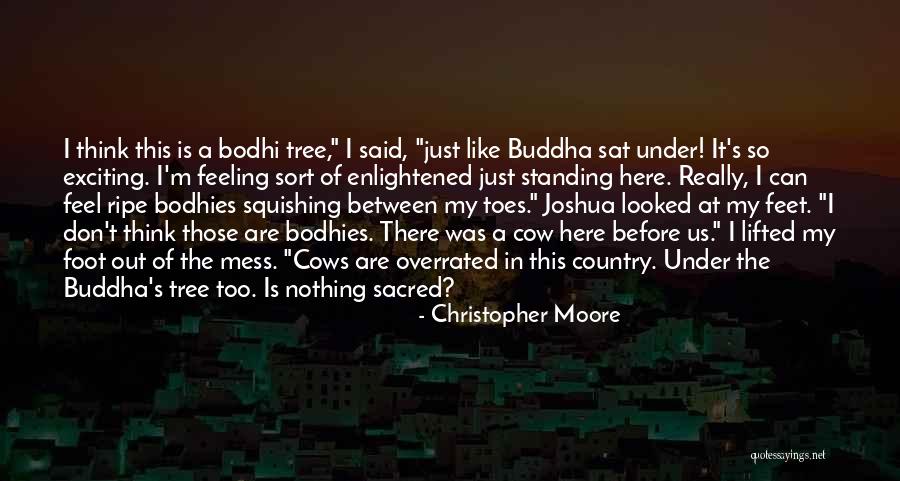 Feeling Like A Mess Quotes By Christopher Moore Feeling Like A Mess Quotes By Christopher Moore