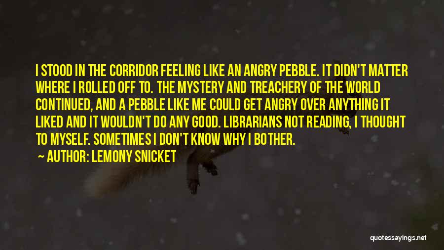 Feeling Like I Don't Matter Quotes By Lemony Snicket