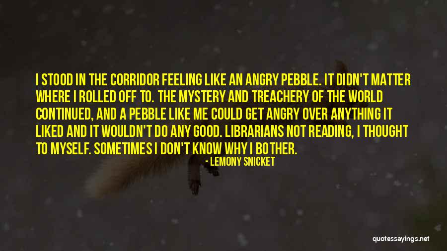 Feeling Like I Don't Matter Quotes By Lemony Snicket Feeling Like I Don't Matter Quotes By Lemony Snicket