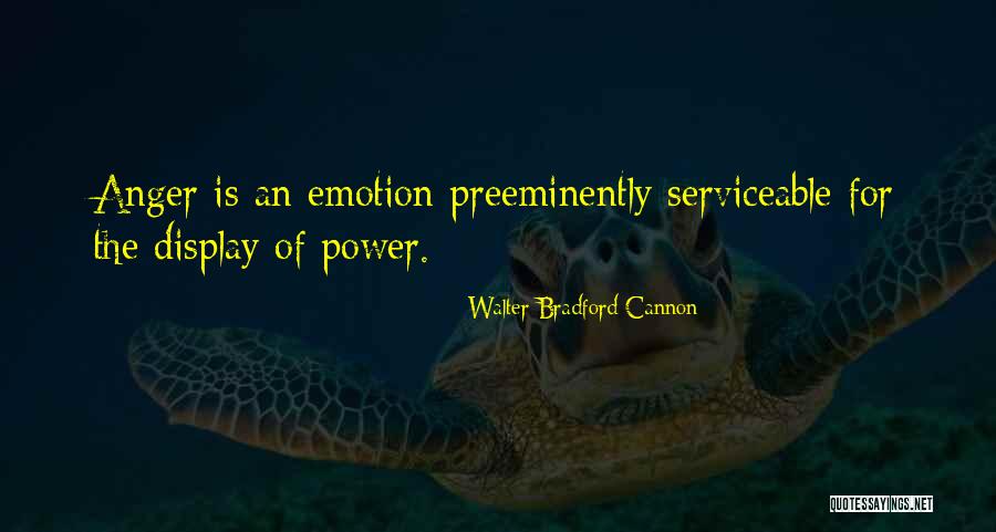 Feeling Like No One Cares Quotes By Walter Bradford Cannon Feeling Like No One Cares Quotes By Walter Bradford Cannon