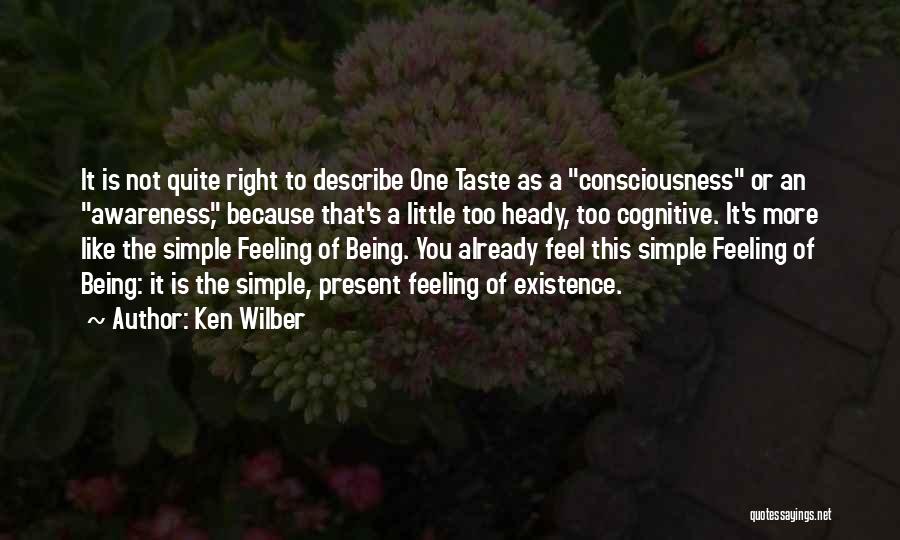 Feeling Like Nothing Is Going Right Quotes By Ken Wilber