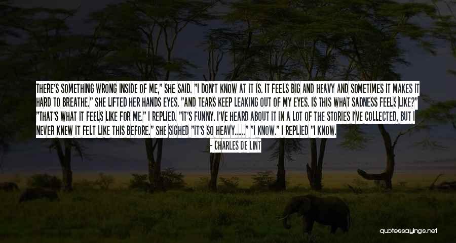 Feeling Like Something Is Wrong Quotes By Charles De Lint Feeling Like Something Is Wrong Quotes By Charles De Lint