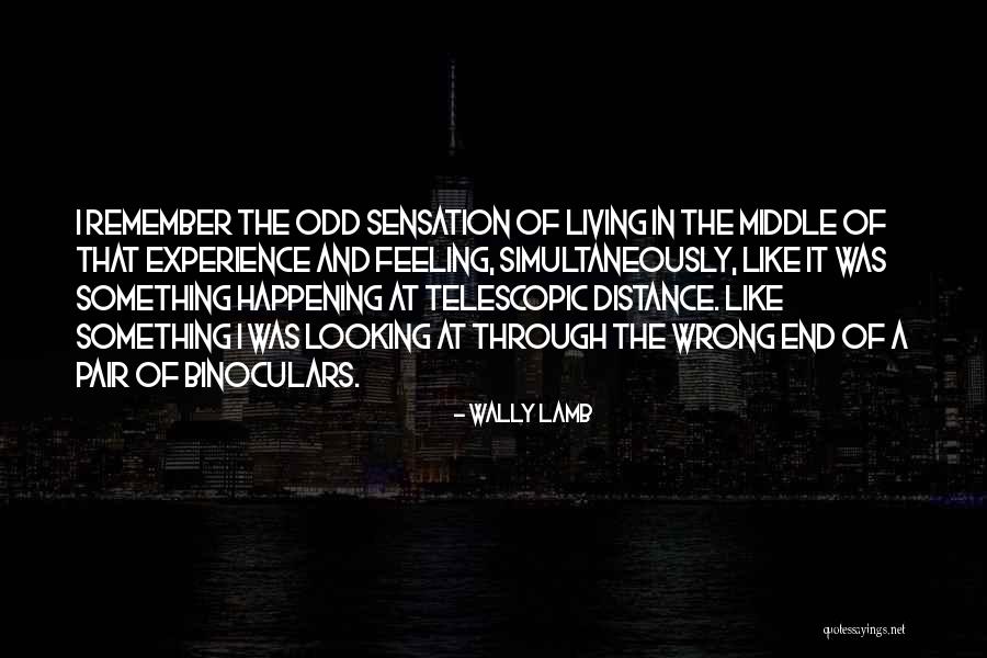 Feeling Like Something Is Wrong Quotes By Wally Lamb Feeling Like Something Is Wrong Quotes By Wally Lamb