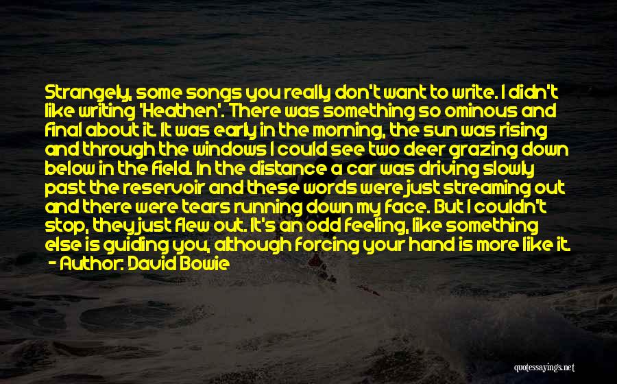 Feeling Like The Odd One Out Quotes By David Bowie