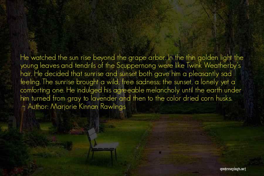 Feeling Lonely Quotes By Marjorie Kinnan Rawlings