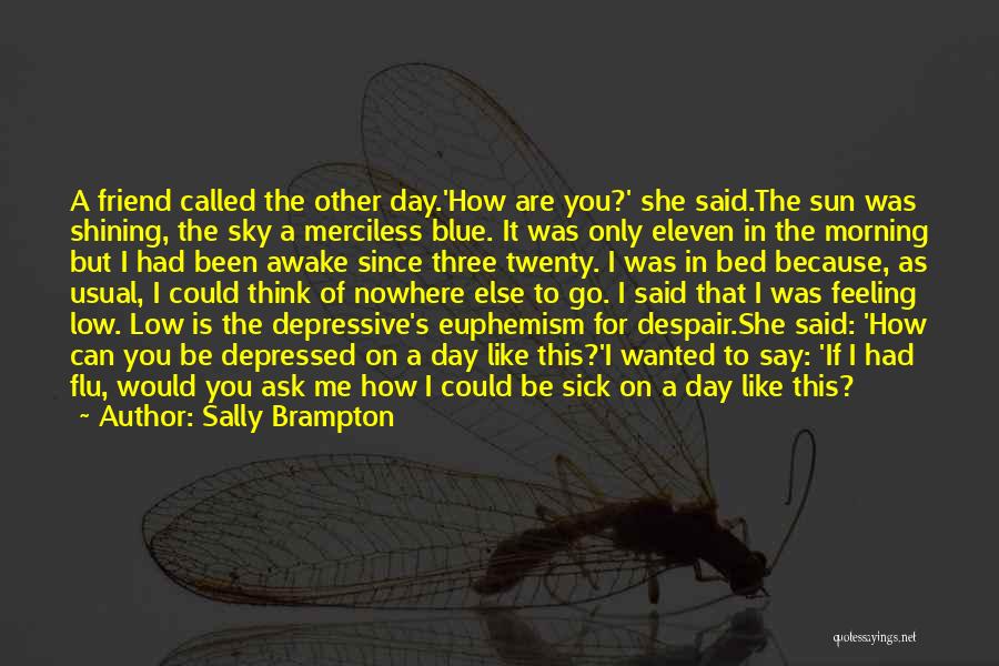 Feeling Low Depressed Quotes By Sally Brampton