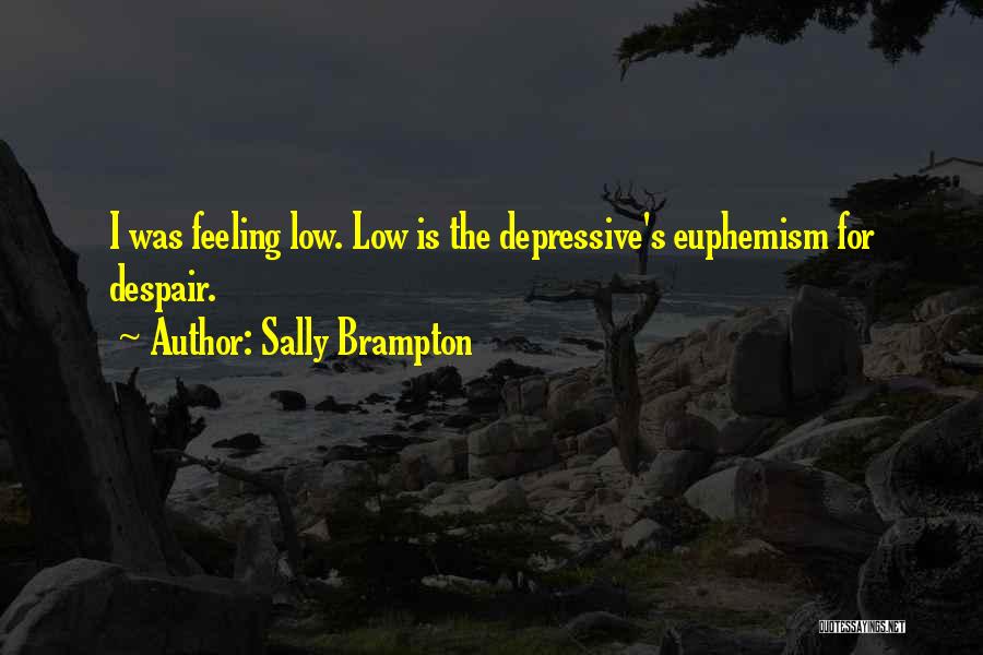 Feeling Low Quotes By Sally Brampton