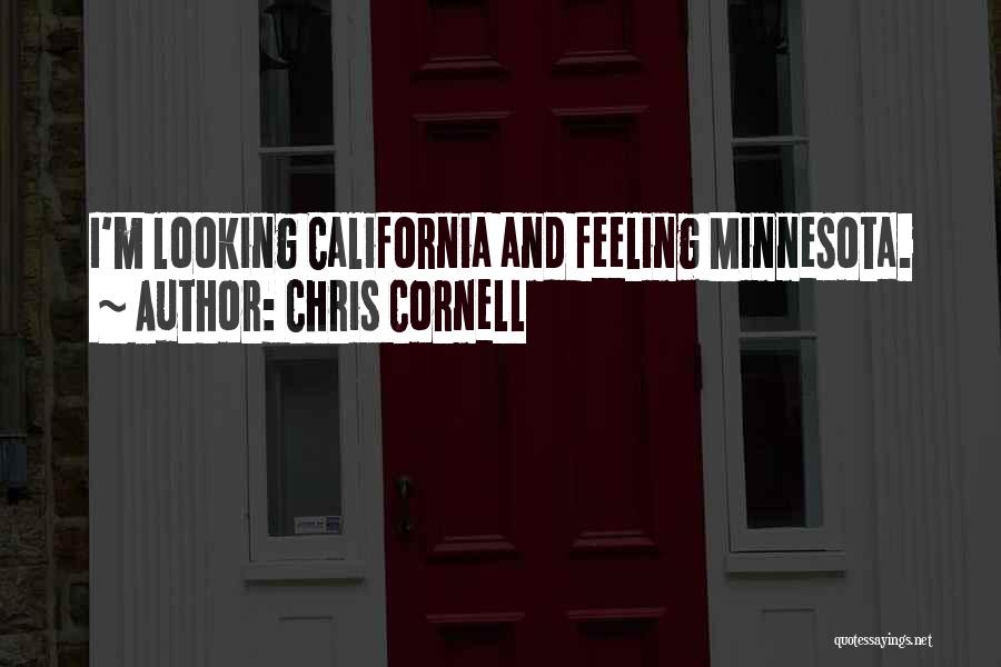 Feeling Minnesota Quotes By Chris Cornell