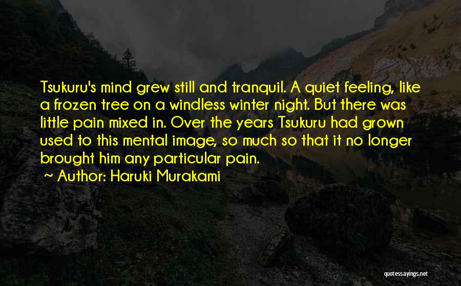 Feeling Mixed Up Quotes By Haruki Murakami