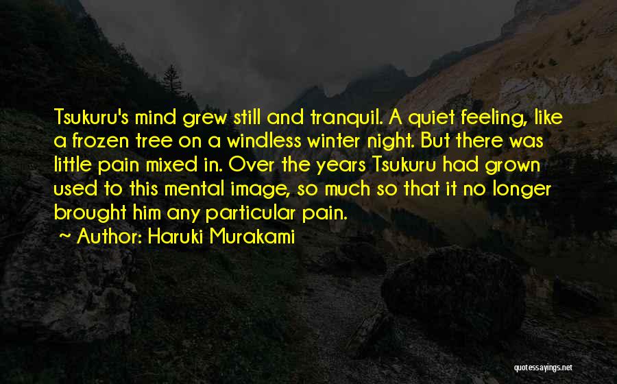 Feeling No Pain Quotes By Haruki Murakami