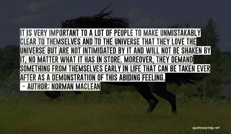 Feeling Not Important Quotes By Norman Maclean