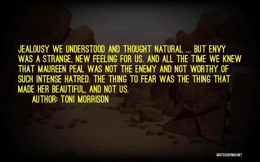 Feeling Not Understood Quotes By Toni Morrison