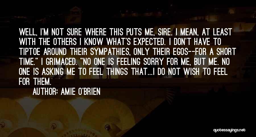 Feeling Not Well Quotes By Amie O'Brien