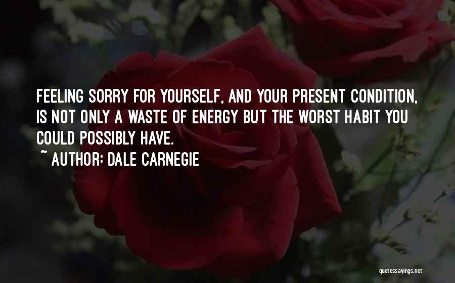 Feeling Not Yourself Quotes By Dale Carnegie