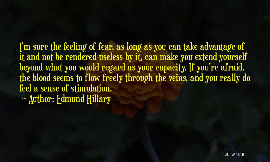 Feeling Not Yourself Quotes By Edmund Hillary