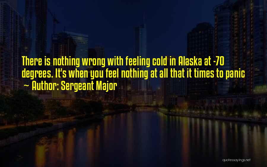 Feeling Nothing Quotes By Sergeant Major