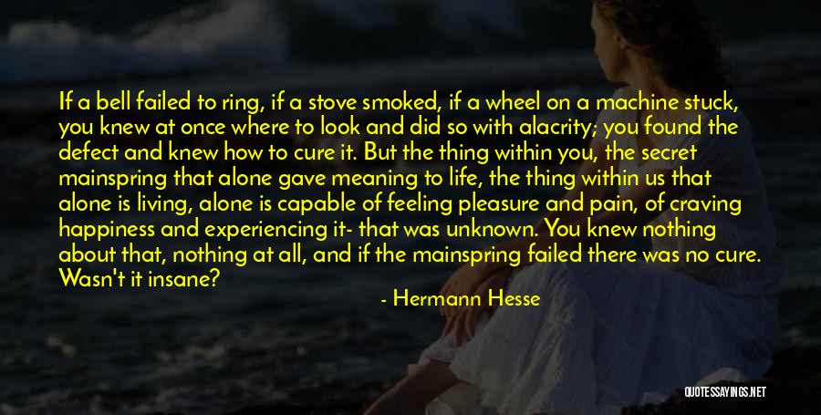 Feeling Of Happiness Quotes By Hermann Hesse